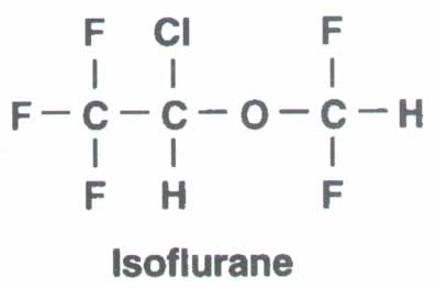 isoflurane